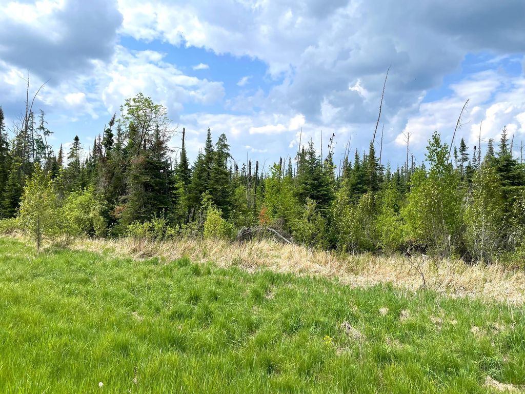 Photo of TBD N Plantangenet Road SE, Bemidji, MN 56601 (MLS # 7017220)