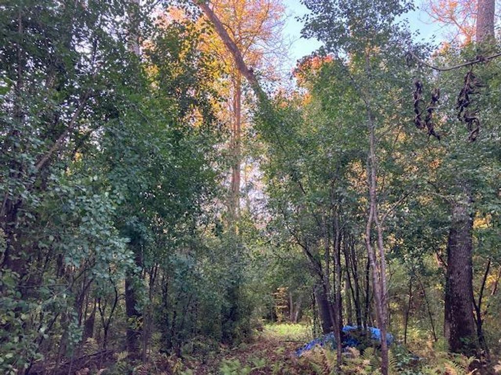 Photo of TBD 395th Street, North Branch, MN 55056 (MLS # 6790187)