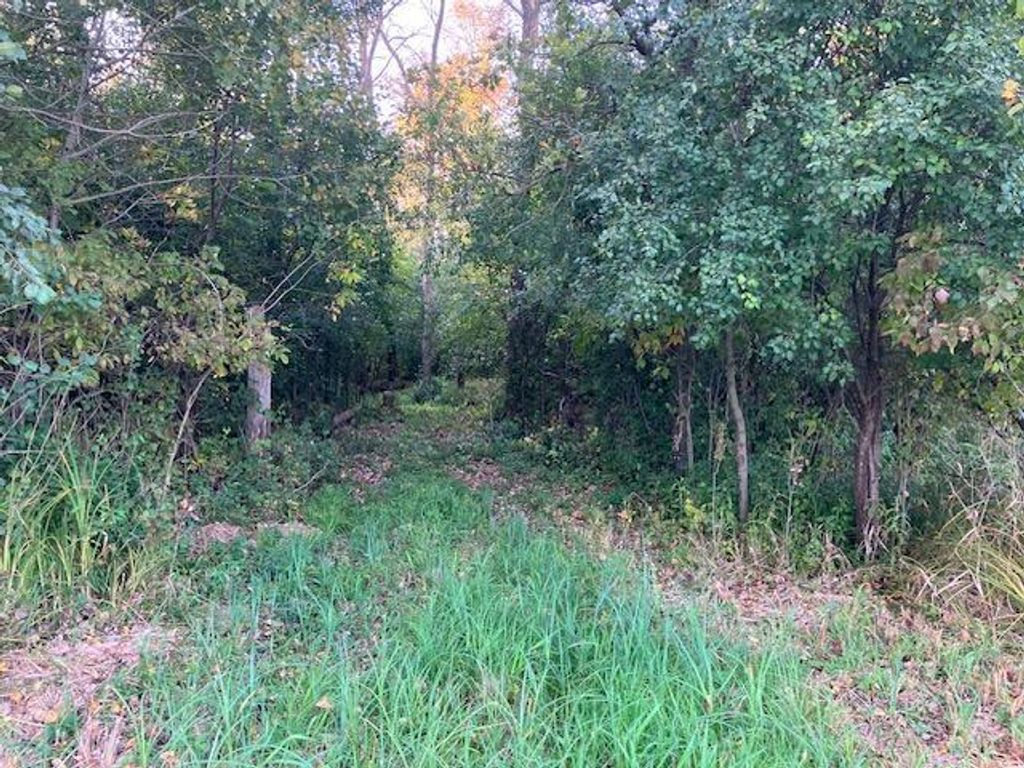 Photo of TBD 395th Street, North Branch, MN 55056 (MLS # 6790187)