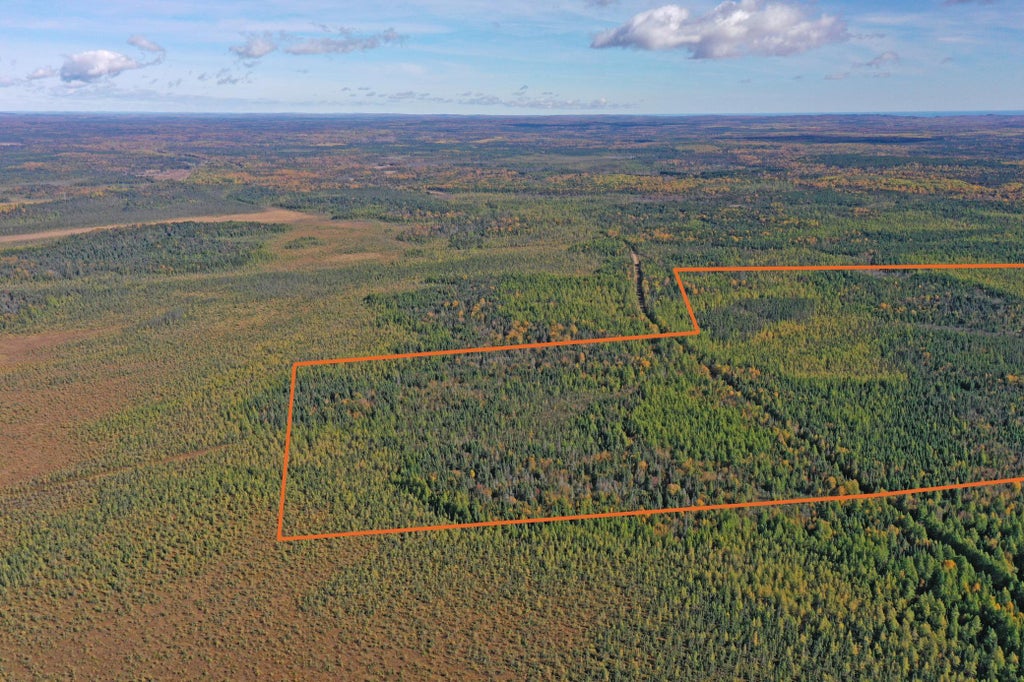 Photo of 3098 Whyte Road, Two Harbors, MN 55616 (MLS # 7158324)