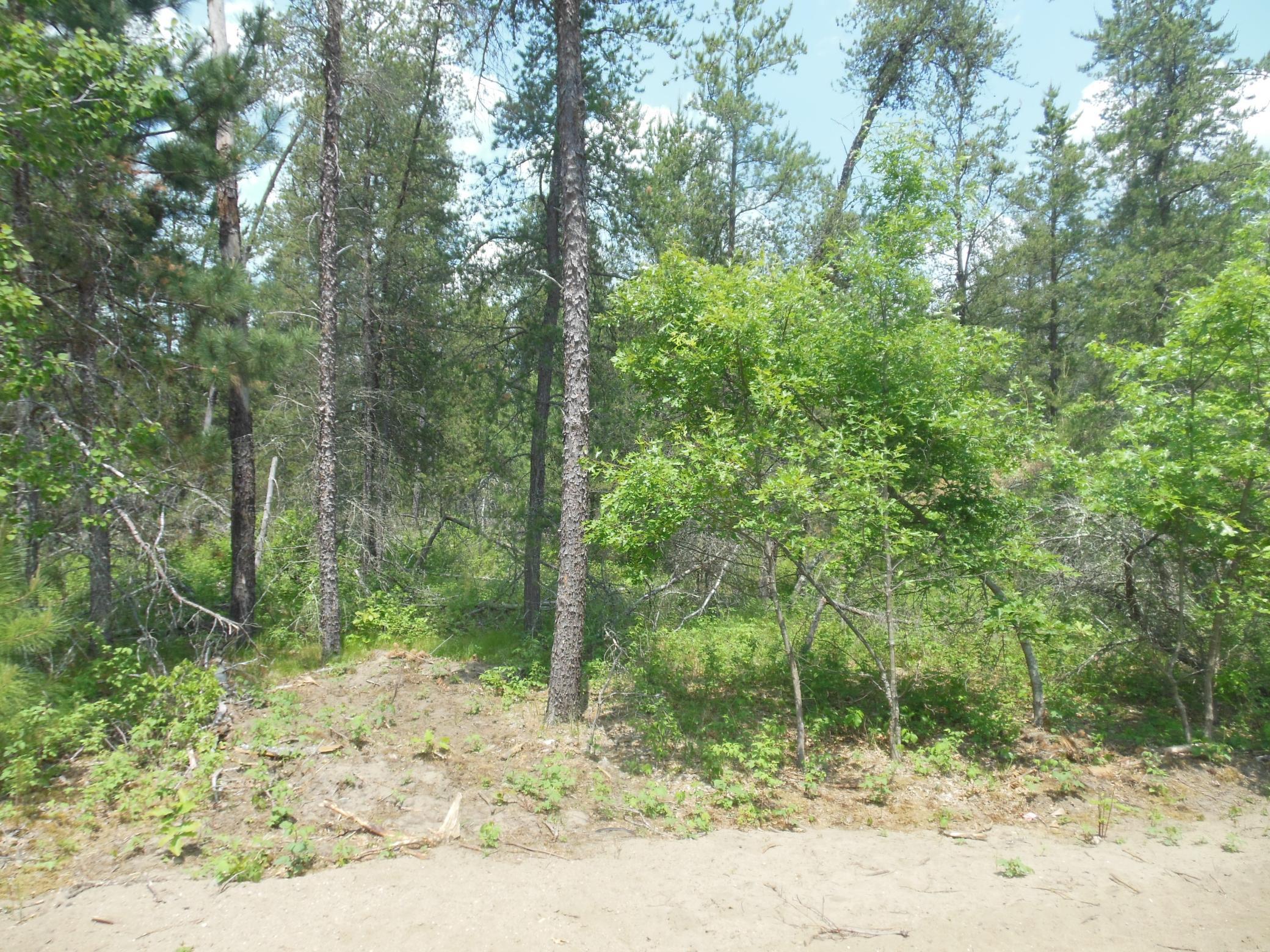 11775 Forestview Drive