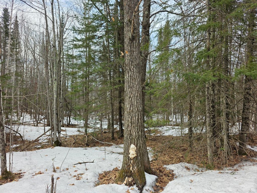 Photo of TBD Stark Road, Cloquet, MN 55720 (MLS # 7044220)