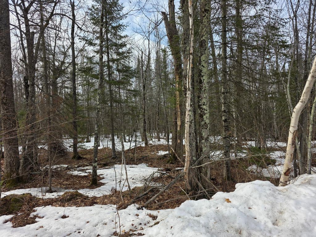 Photo of TBD Stark Road, Cloquet, MN 55720 (MLS # 7044220)