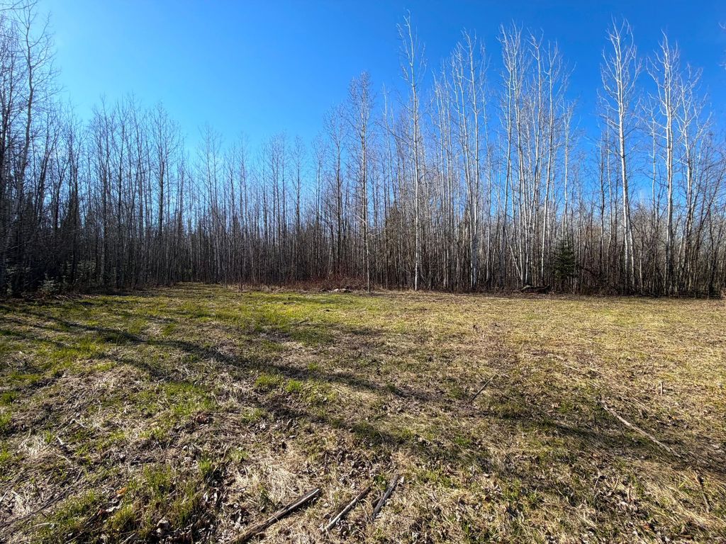 Photo of Lot B County Road 79, Littlefork, MN 56653 (MLS # 7073831)
