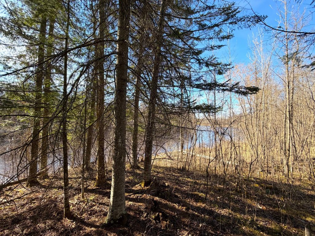 Photo of Lot B County Road 79, Littlefork, MN 56653 (MLS # 7073831)