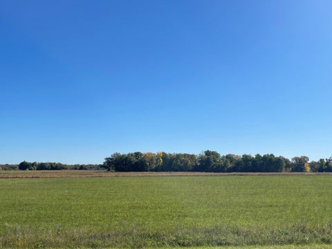 Featured picture for the property 7159429