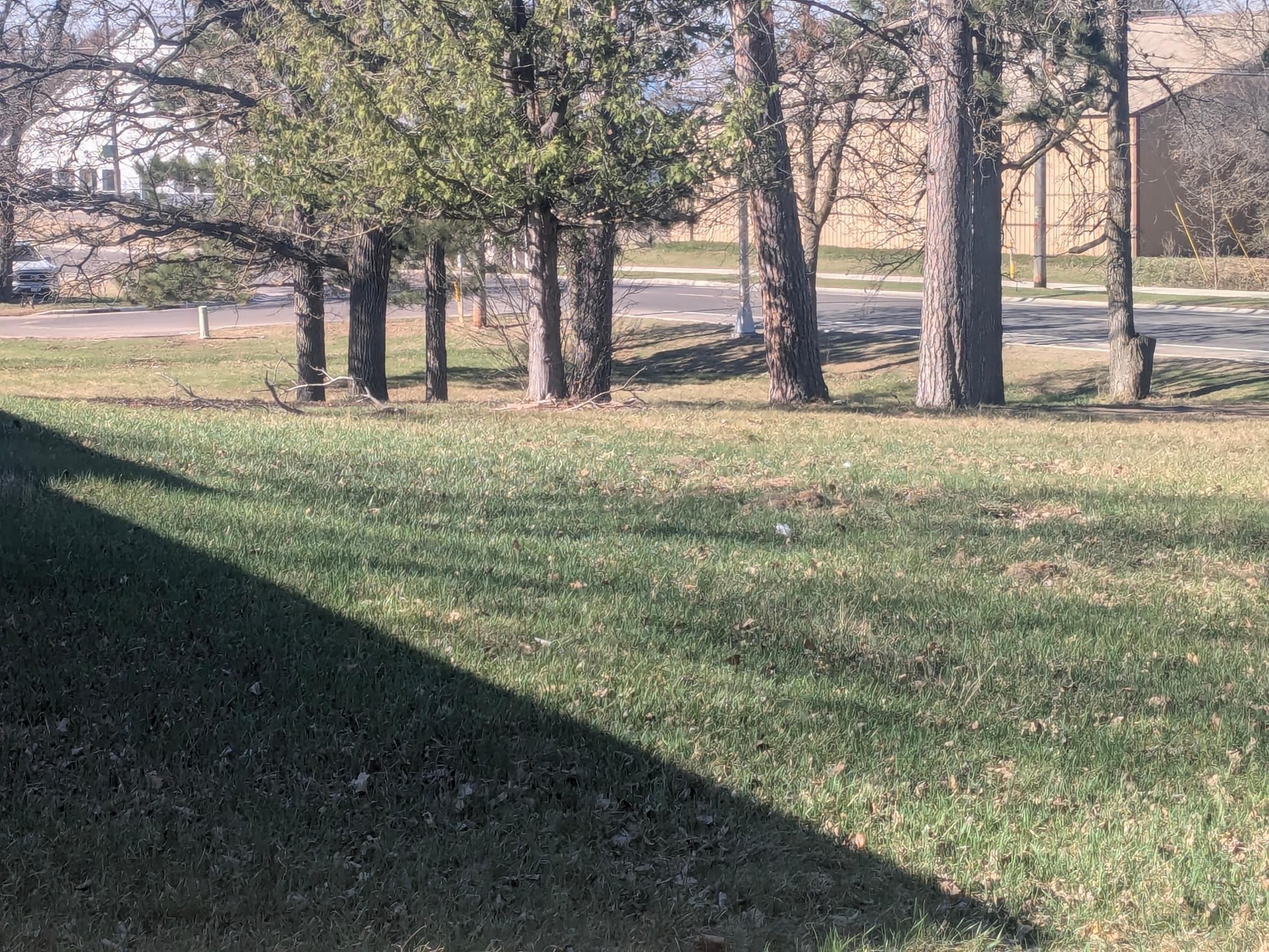 212 Central Avenue N