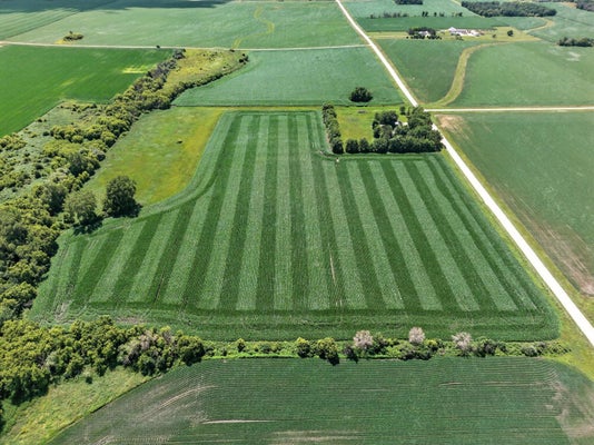 270TH AVE, HAYFIELD, MN 55940 - Image cc3d5f81cb7fa6f3bb035c71d5e2deb8/1258900869