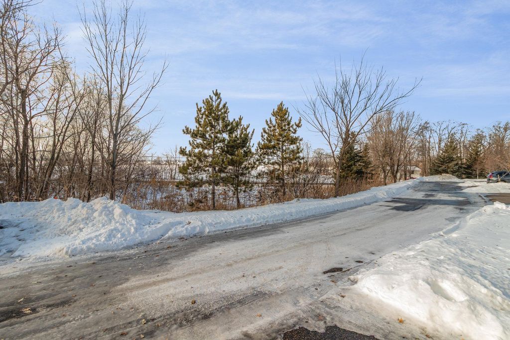 Photo of 15614 Emerald Drive N #9, Hugo, MN 55038 (MLS # 6822022)