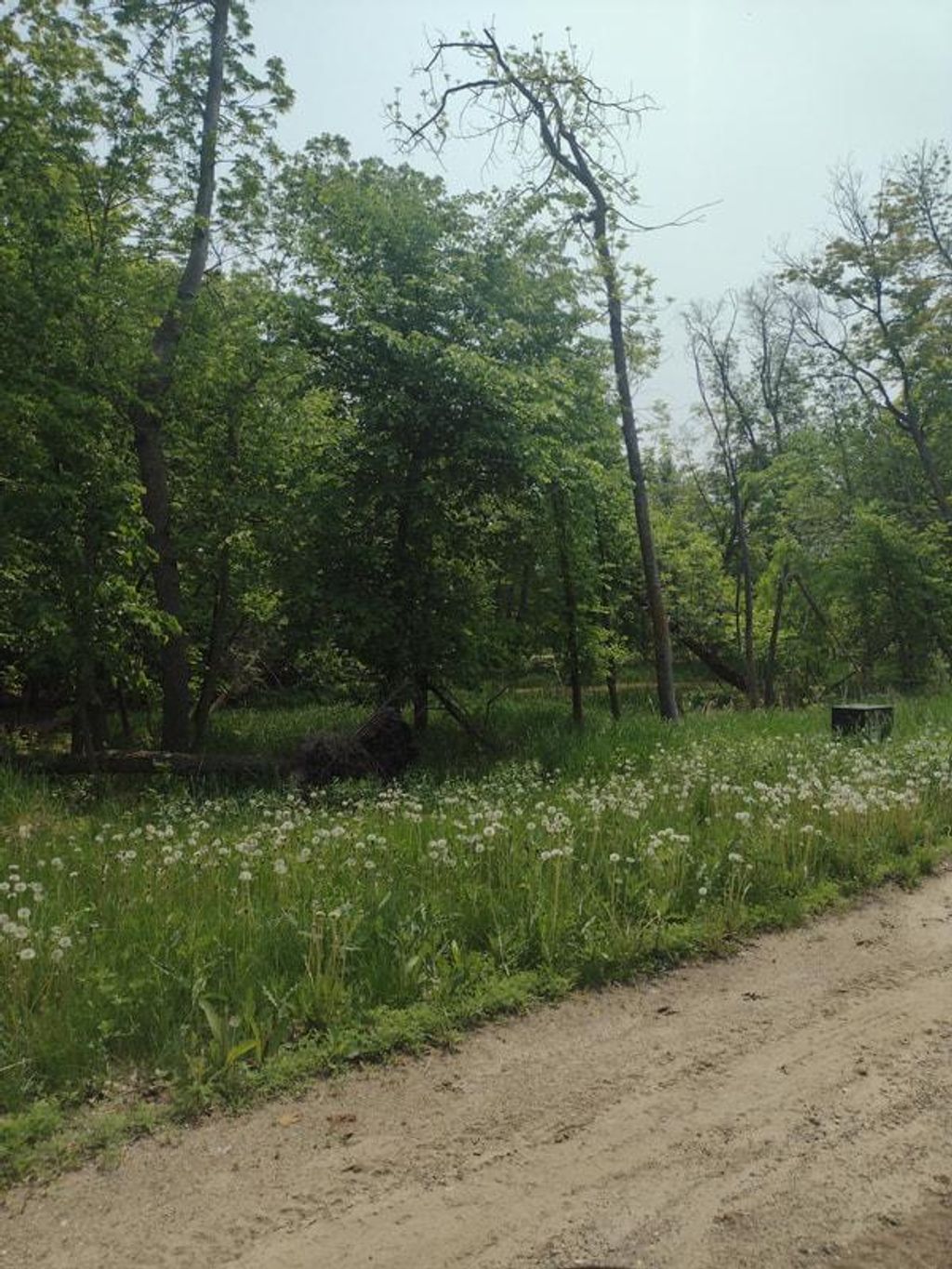 Photo of Lot 2 Block 3 Crystal Beach Road, Pelican Rapids, MN 56572 (MLS # 7009609)
