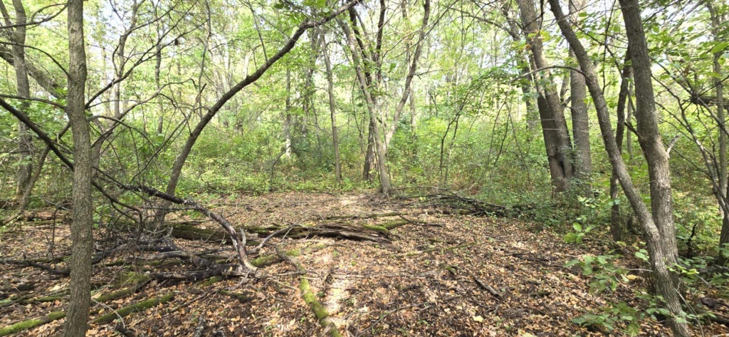 Photo of PARCEL TBD 250th Street, Mahnomen, MN 56557 (MLS # 7088257)