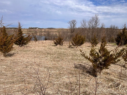 215TH AVE, ELBOW LAKE, MN 56531 - Image ce2131bca22e12bd757ab2bb03c3fdf6/2509322489