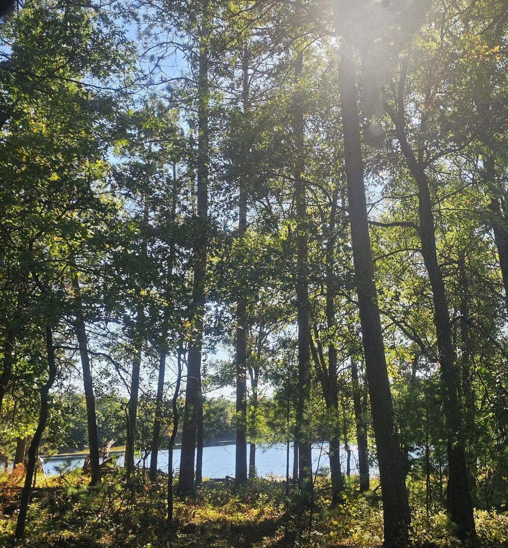 Photo of xxx County Road H Road, Danbury, WI 54830 (MLS # 7055180)