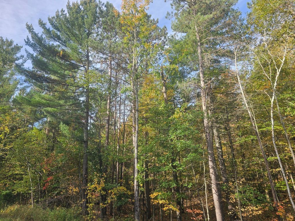 Photo of xxx County Road H Road, Danbury, WI 54830 (MLS # 7055180)