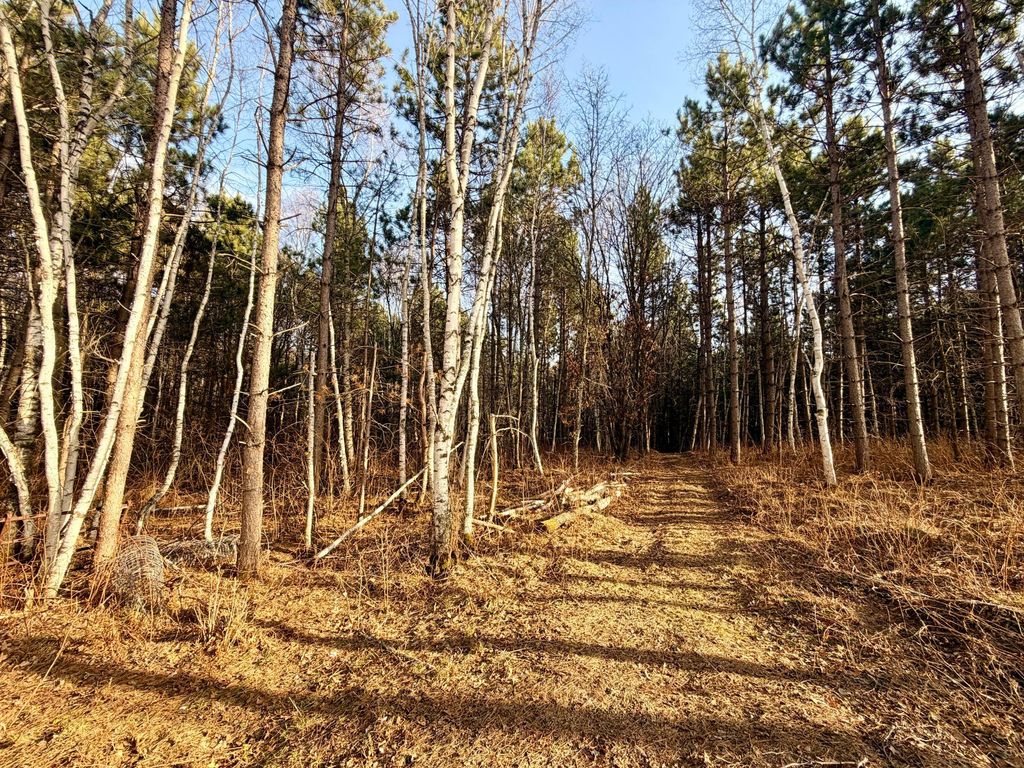 Photo of TBD 64th Street SW, Pequot Lakes, MN 56472 (MLS # 7049007)