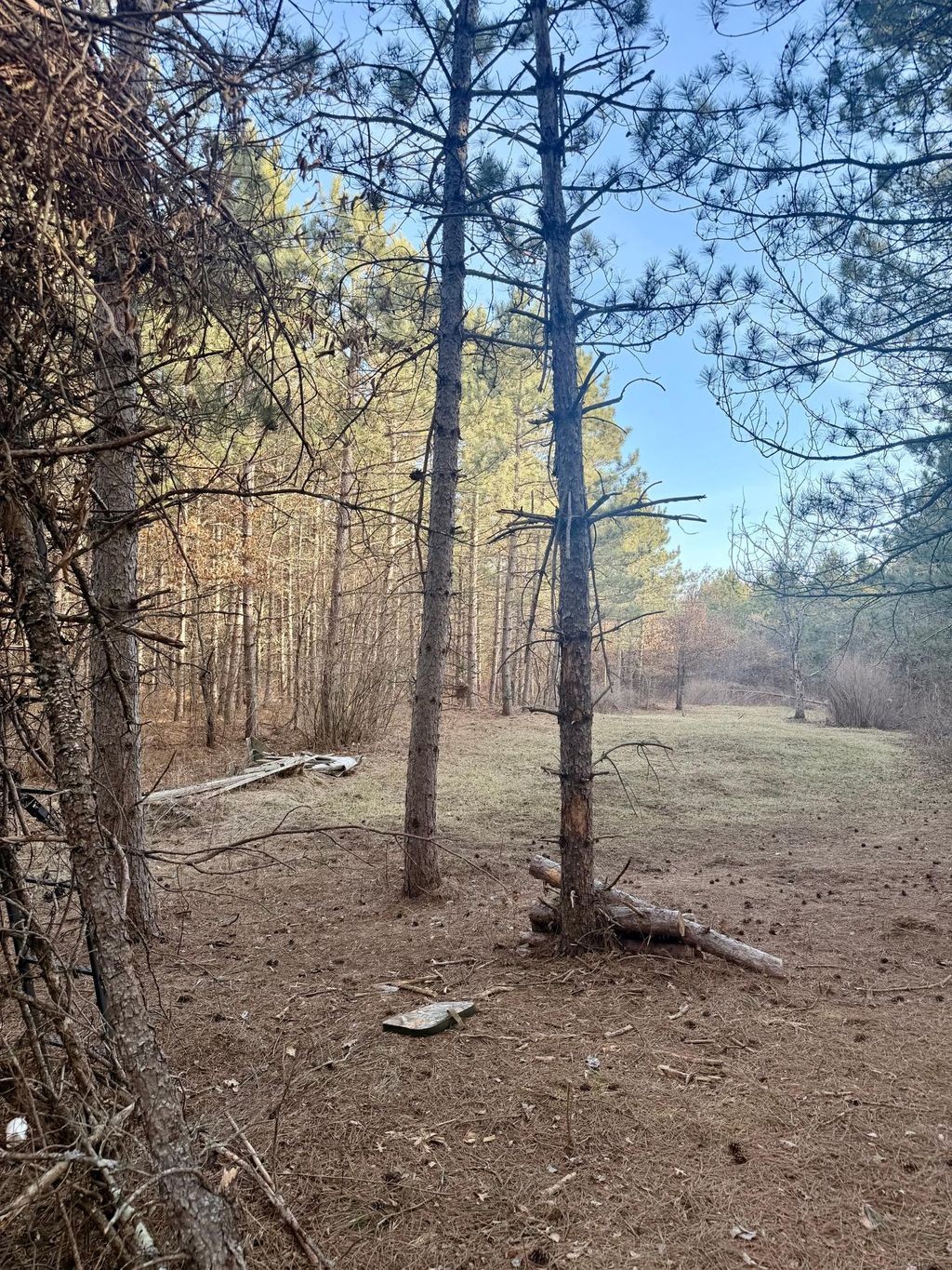 Photo of TBD 64th Street SW, Pequot Lakes, MN 56472 (MLS # 7049007)