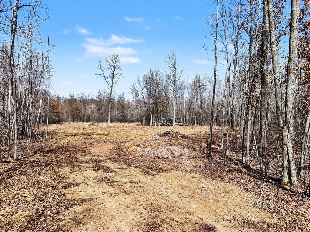 Photo of 6818 460th Street, Harris, MN 55032 (MLS # 7007648)