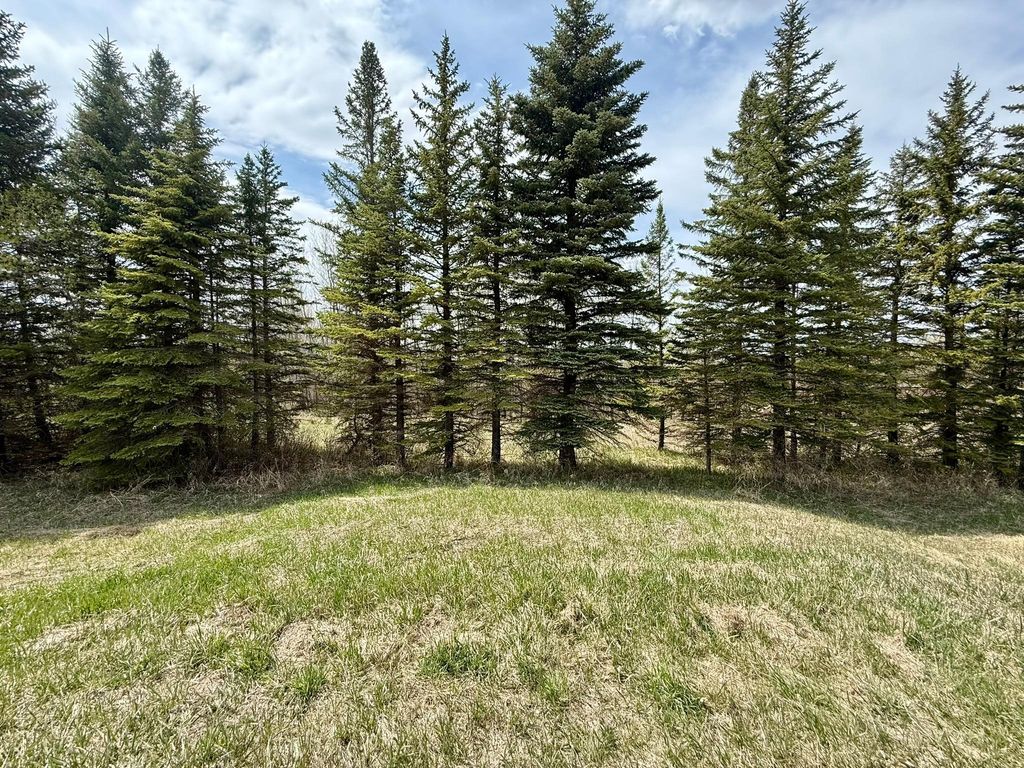 Photo of 16025 245th Avenue, Glenwood, MN 56334 (MLS # 7068719)