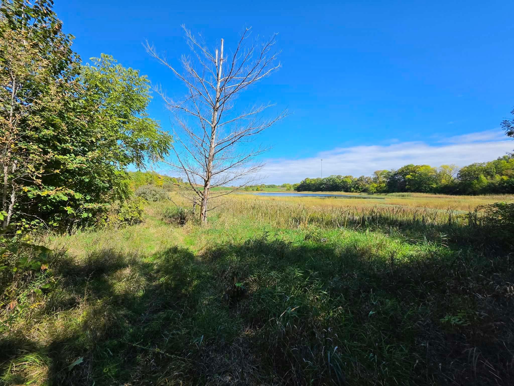 TBD Pleasant Lake Trail