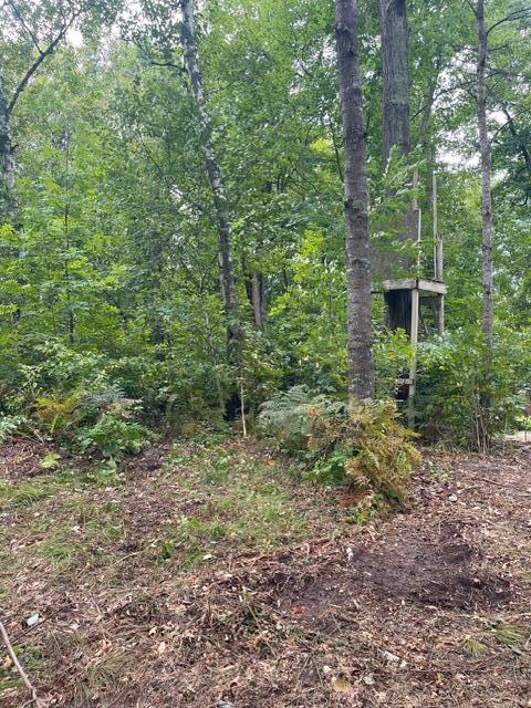 Photo of TBD Lacy Lane SW, Pequot Lakes, MN 56472 (MLS # 7154959)