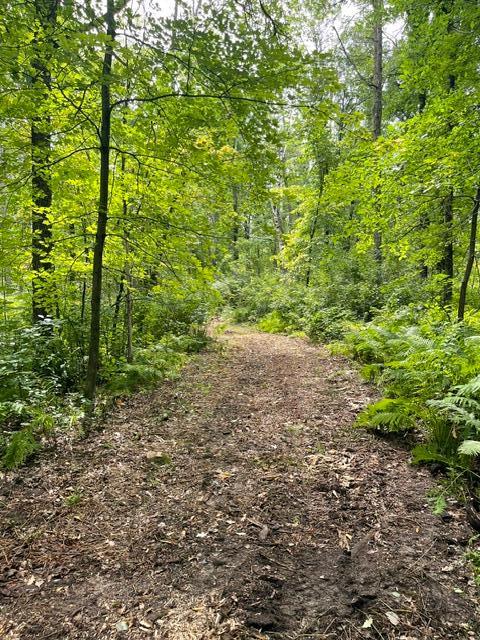 Photo of TBD Lacy Lane SW, Pequot Lakes, MN 56472 (MLS # 7154959)