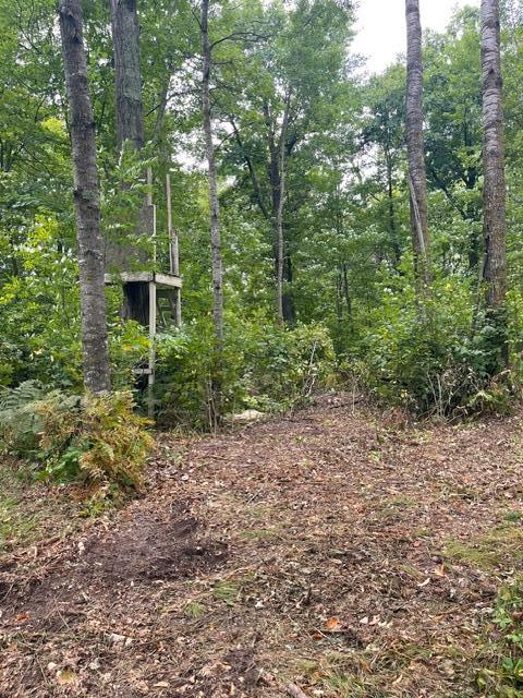 Photo of TBD Lacy Lane SW, Pequot Lakes, MN 56472 (MLS # 7154959)