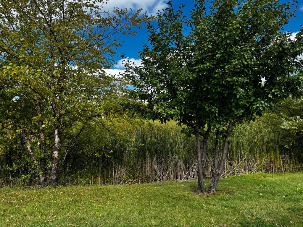 Photo of 1806 9th Street Circle NE, Buffalo, MN 55313 (MLS # 7160012)