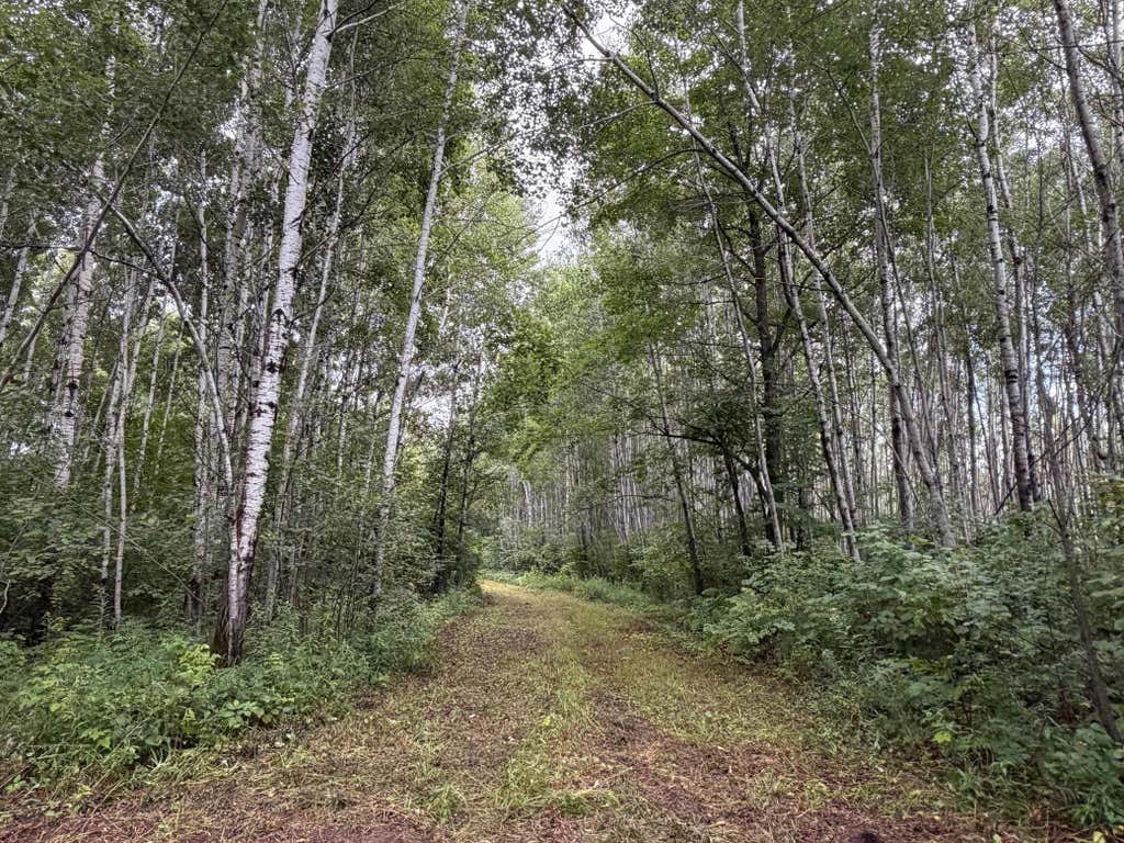 Photo of TBD County Road 12, Kettle River, MN 55767 (MLS # 7130368)
