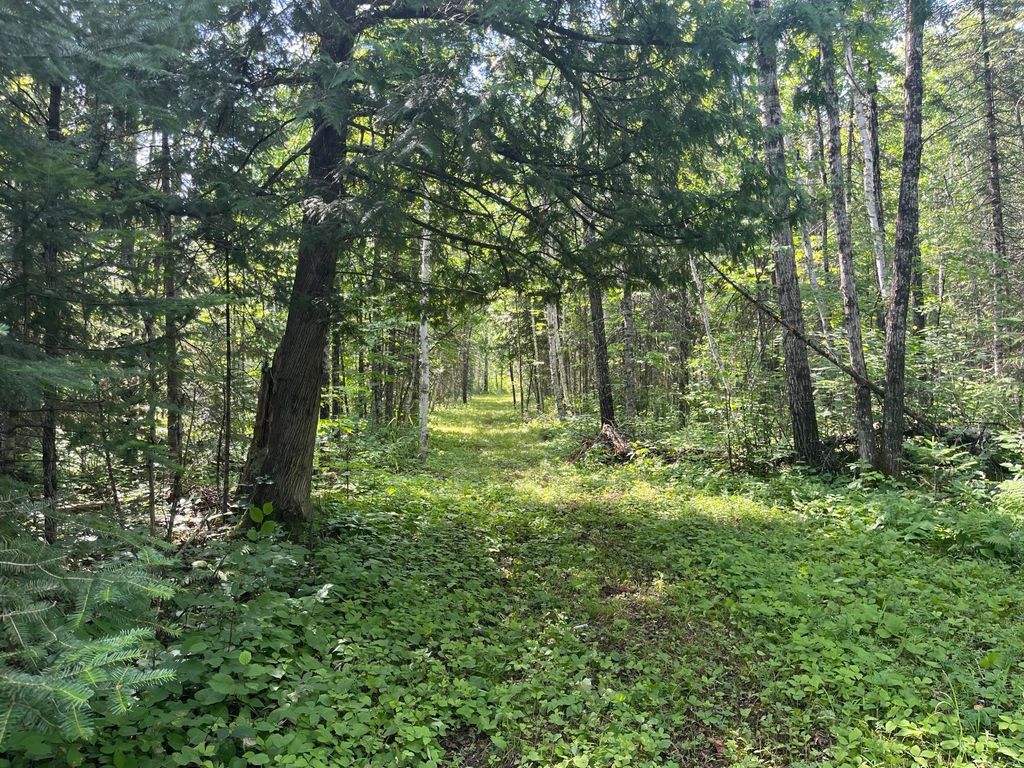 Photo of 1961 Town Road 118, Birchdale, MN 56629 (MLS # 7063831)