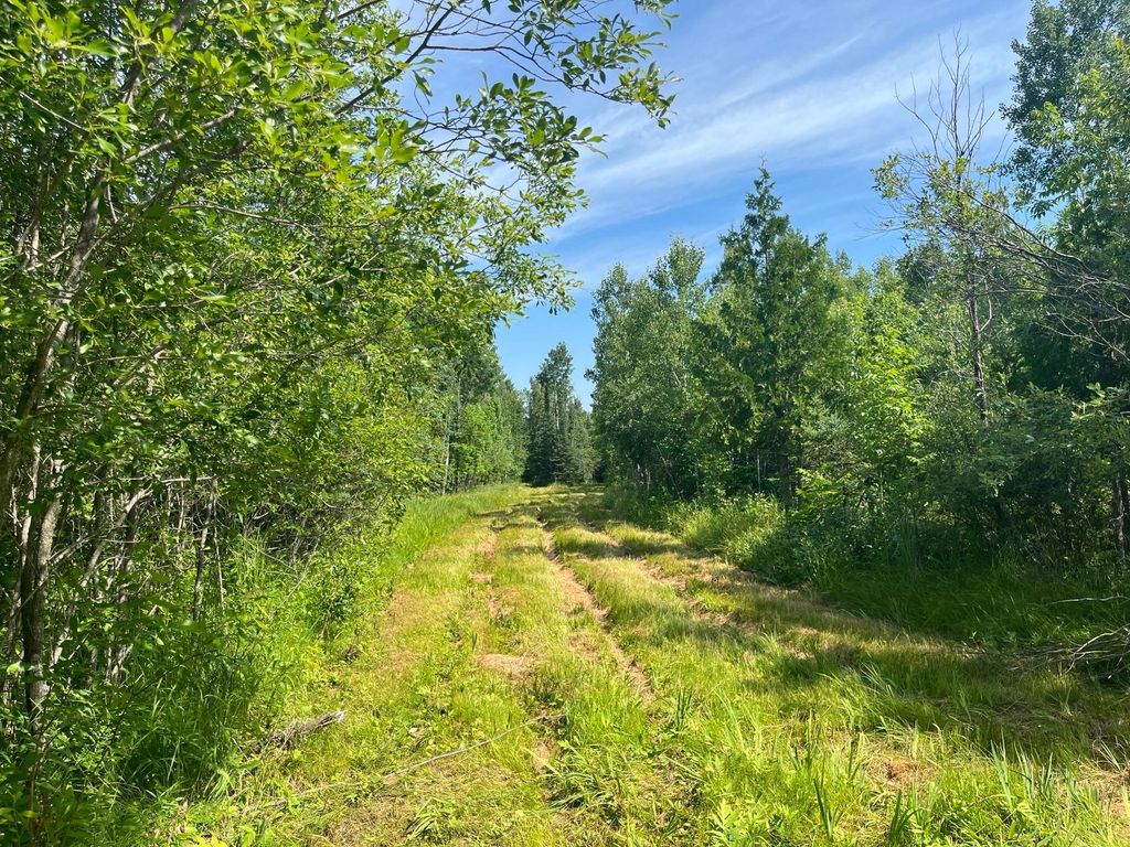 Photo of 1961 Town Road 118, Birchdale, MN 56629 (MLS # 7063831)