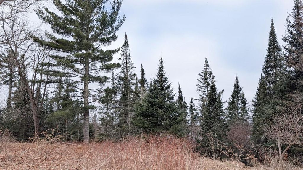 Photo of TDB County Rd 453, Bovey, MN 55709 (MLS # 7058881)