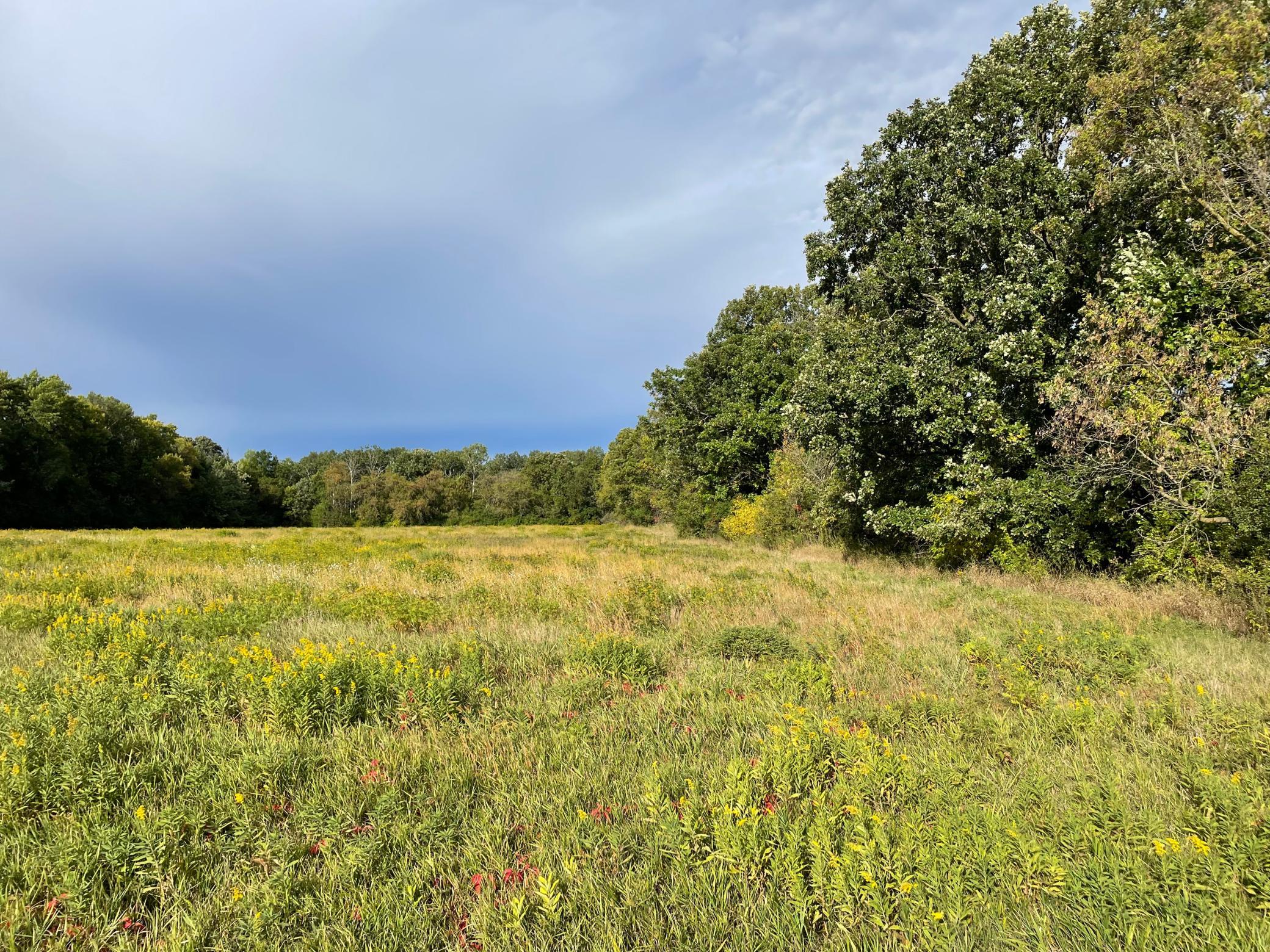 TBD XXX 140th Avenue