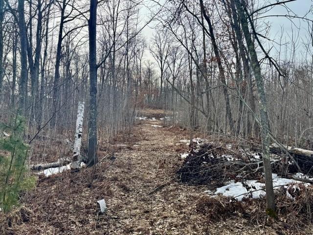 Lot 4 Blk 1 216th Place