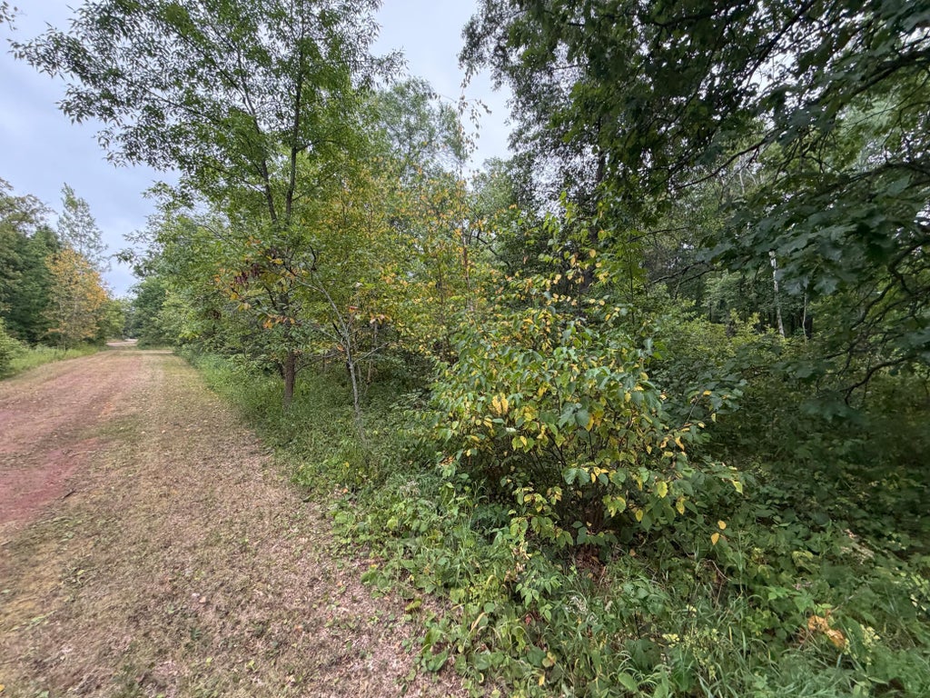 Photo of Lot 2 Whitetail, Crosby, MN 56441 (MLS # 7128785)