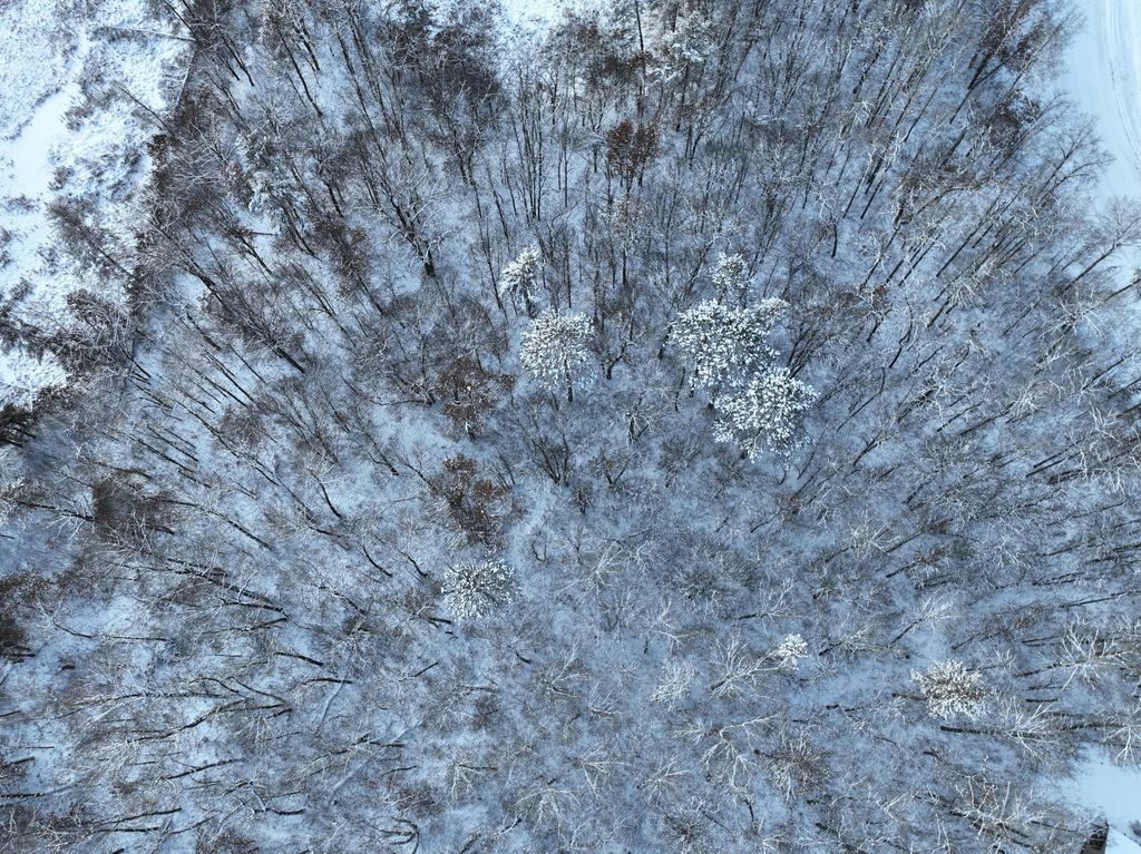 Photo of TBD Drake Circle, Pine River, MN 56474 (MLS # 7039060)