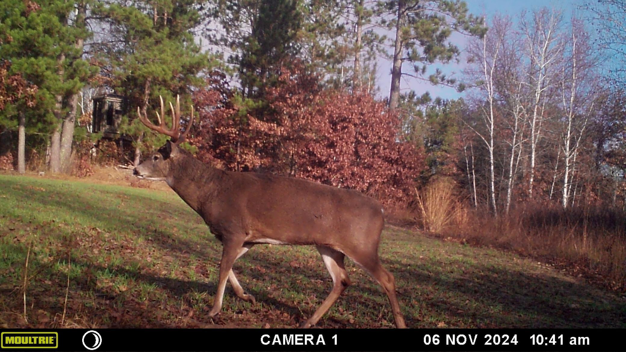 22174 Co Rd 14