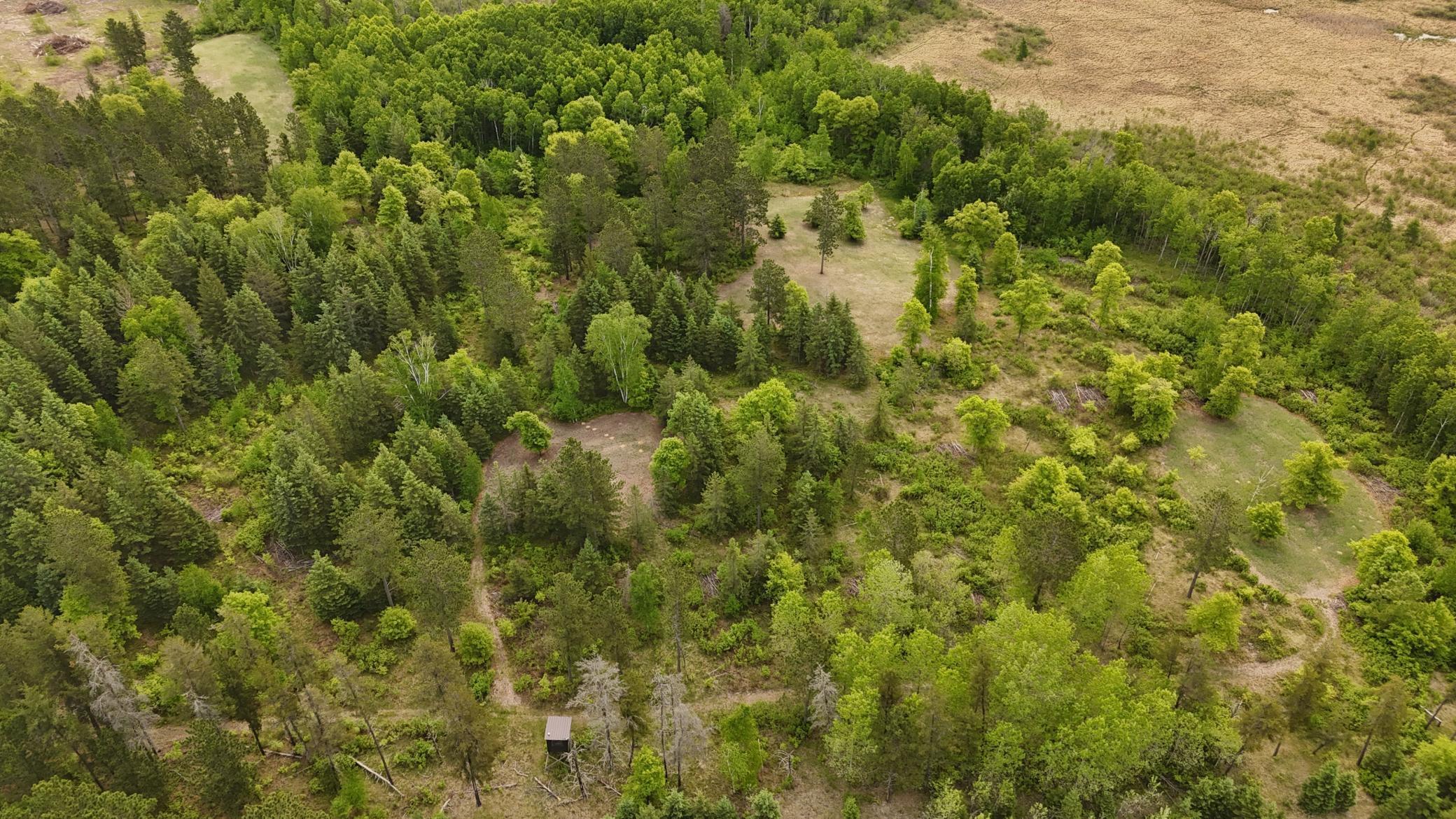 22174 Co Rd 14