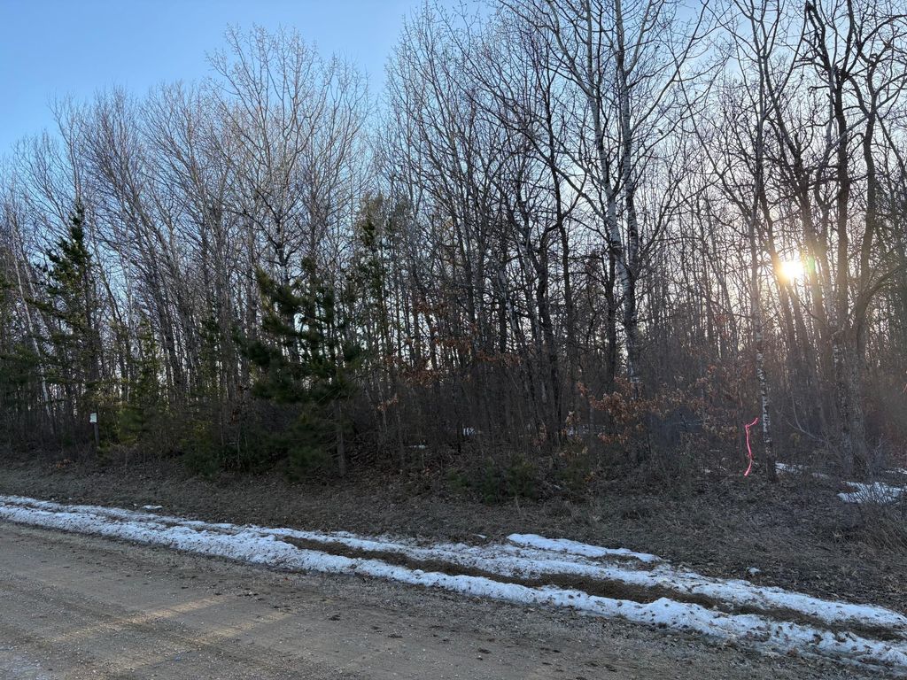 Photo of TBD Pincherry NE, Bemidji, MN 56601 (MLS # 7046844)