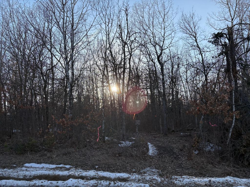 Photo of TBD Pincherry NE, Bemidji, MN 56601 (MLS # 7046844)