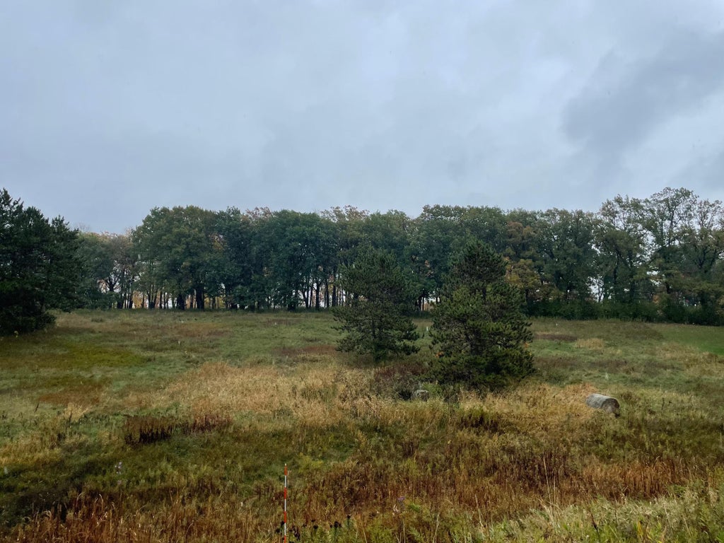 Photo of 5460 Vicksburg Lane N, Plymouth, MN 55446 (MLS # 7160981)