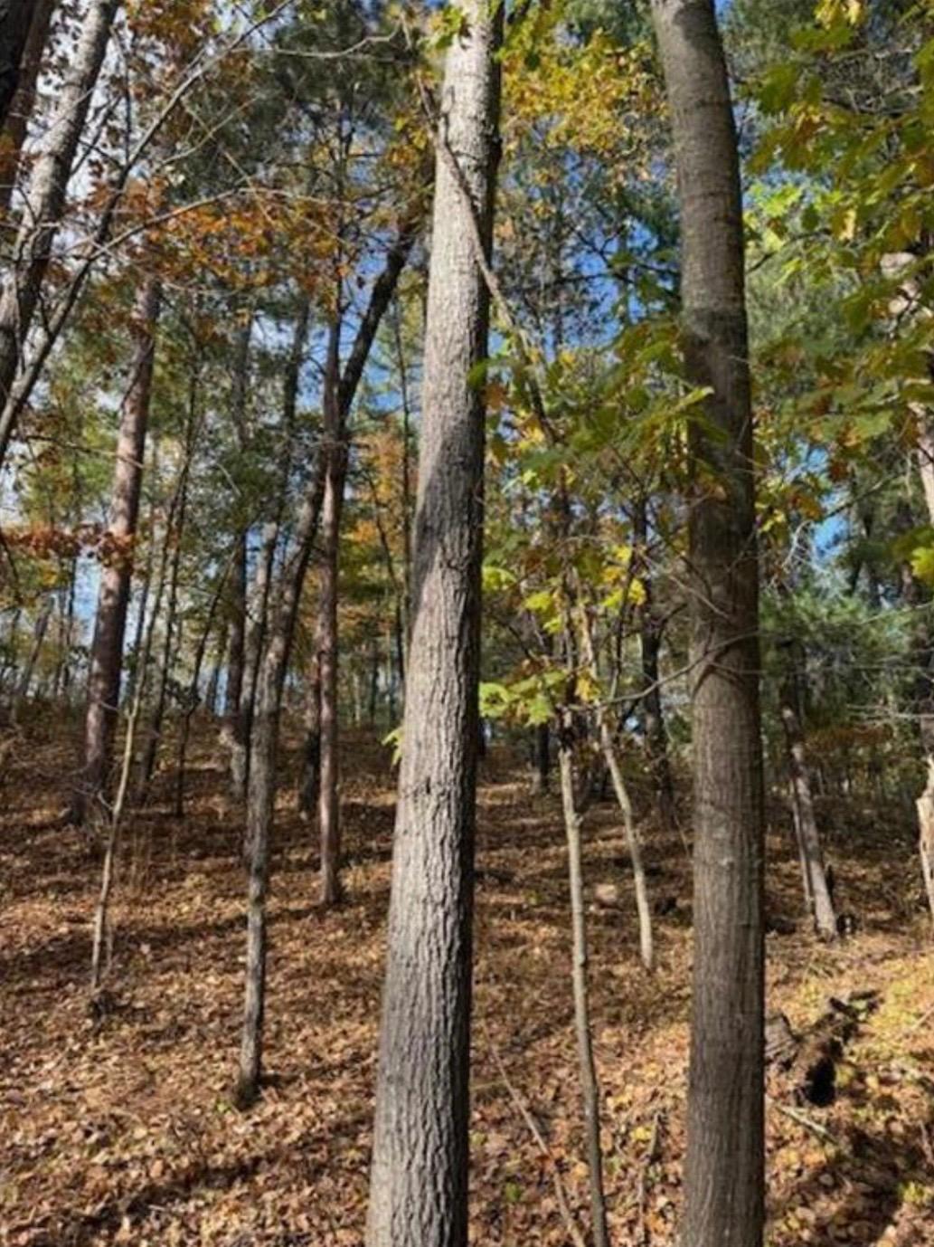 1380 Little John Road