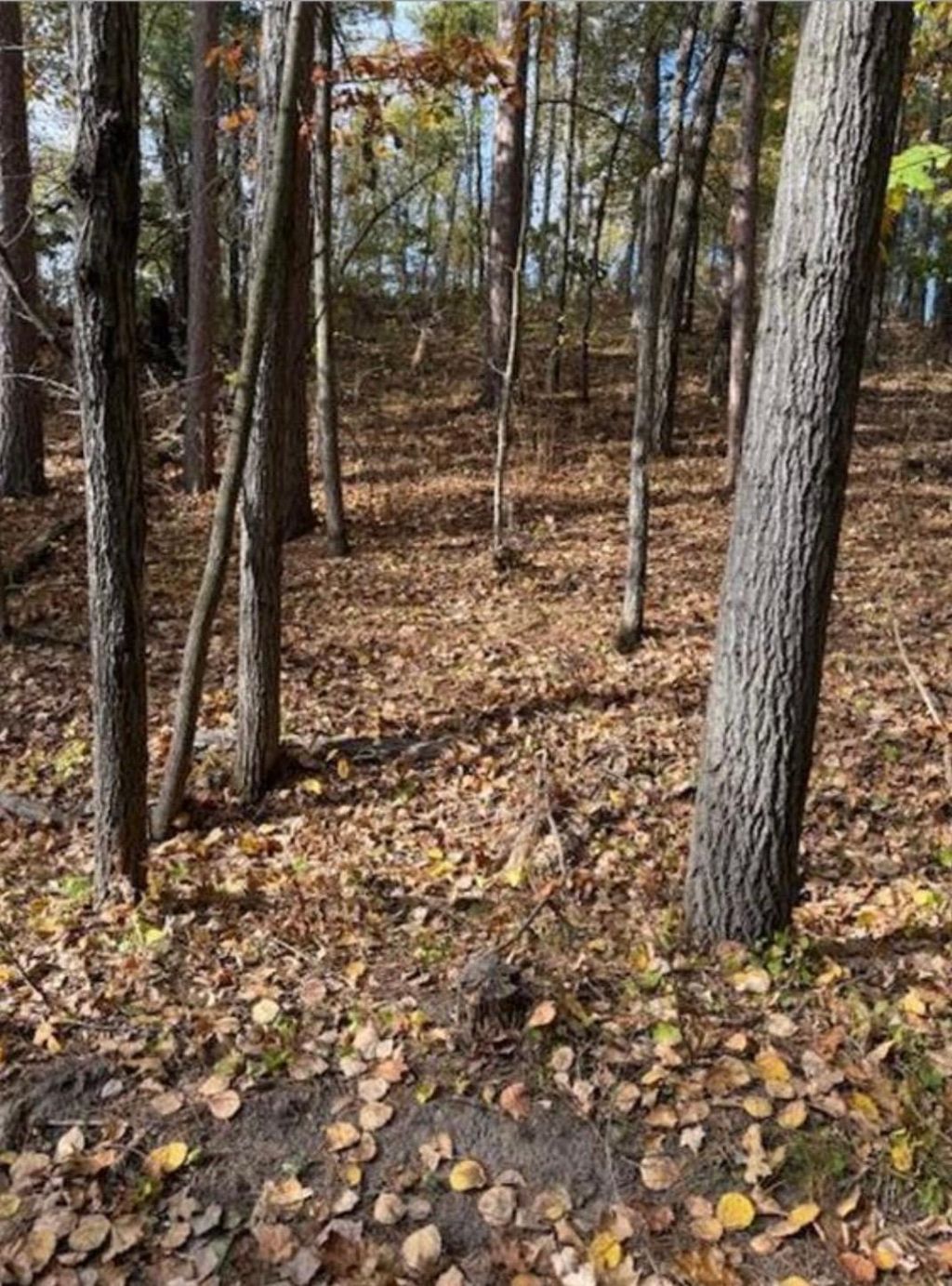 Photo of 1380 Little John Road, Nisswa, MN 56468 (MLS # 7061333)