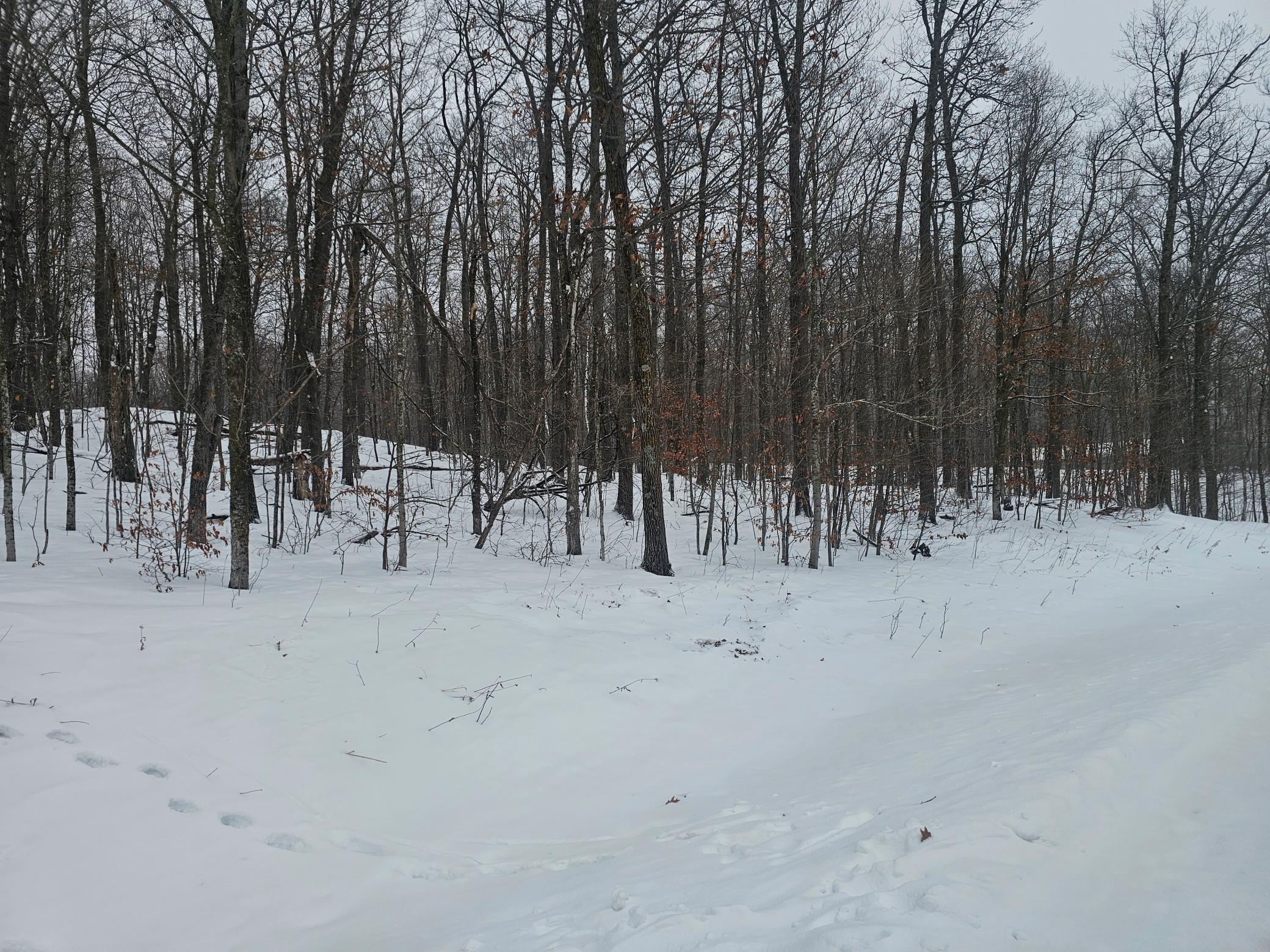 TBD Lot 5 Cascade Court