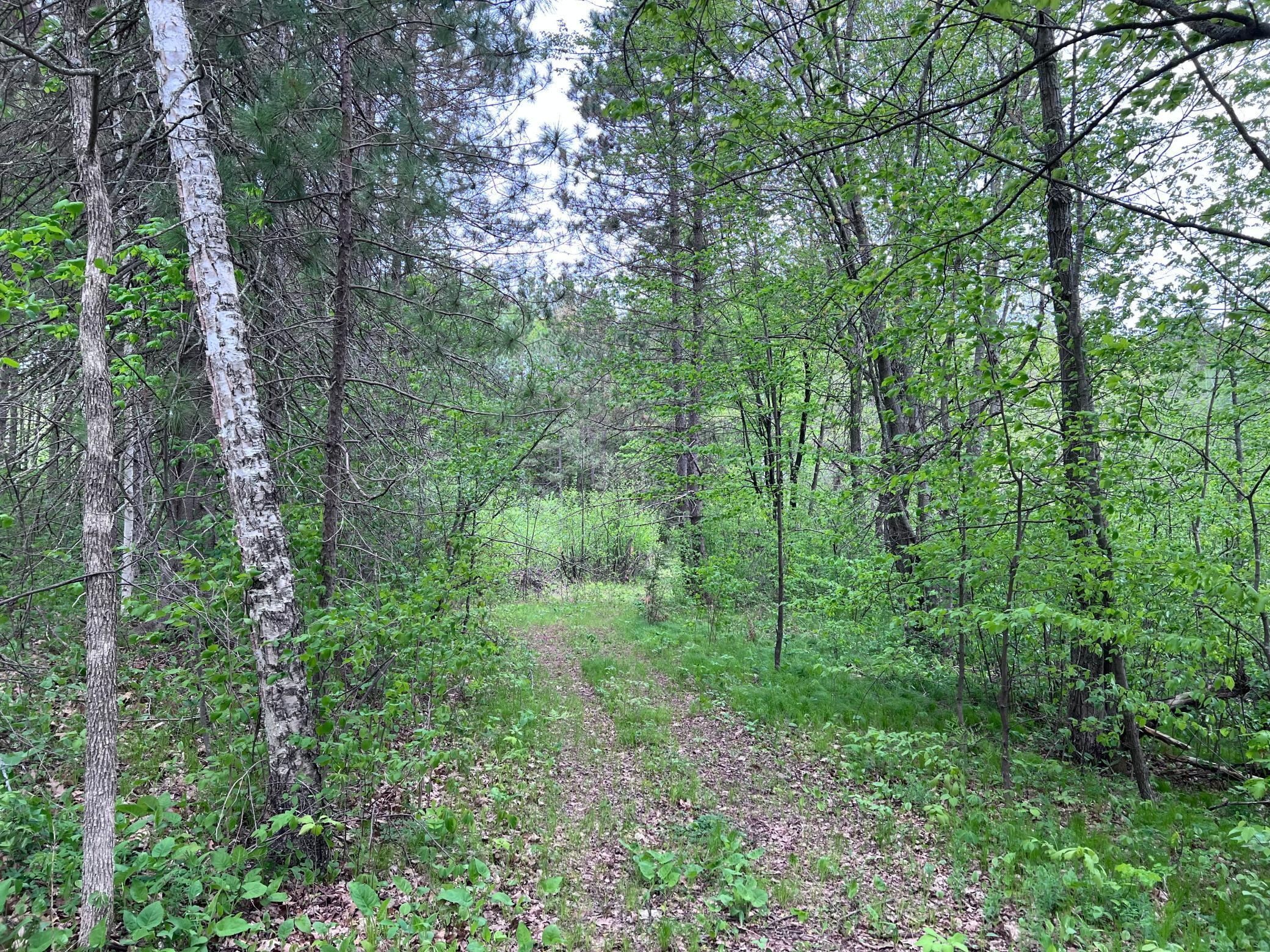 LOT 9 BLOCK 1 Yellow Birch Lane