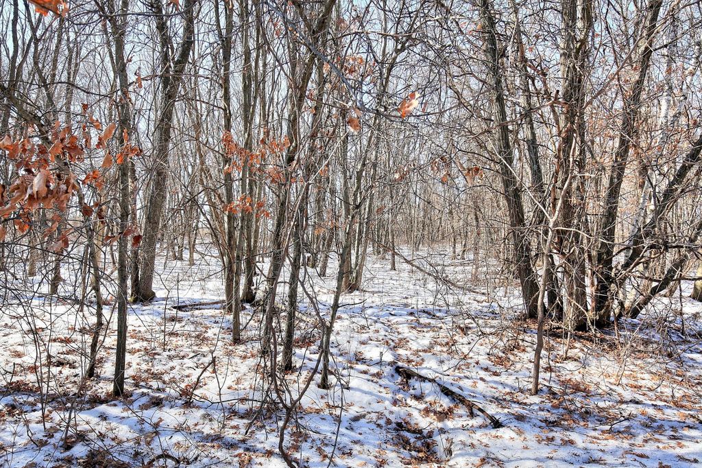 Photo of 19062 Heather St NW, Oak Grove, MN 55011 (MLS # 7021472)