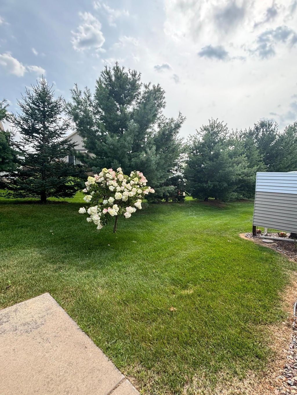 Photo of 572 Williamsburg Place, New Richmond, WI 54017 (MLS # 7032512)