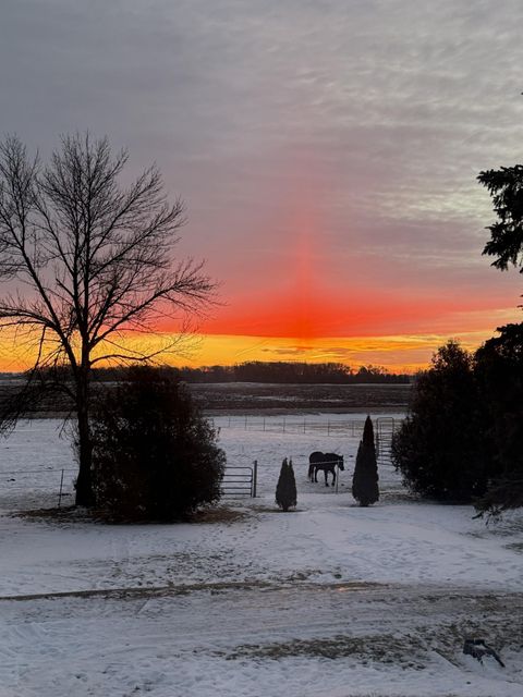 3234 SE 14th Avenue Owatonna MN 55060