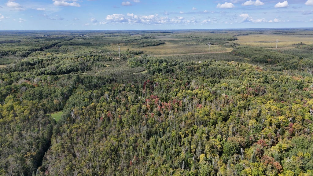 Photo of TBD Salo Rd, Cromwell, MN 55798 (MLS # 7143707)