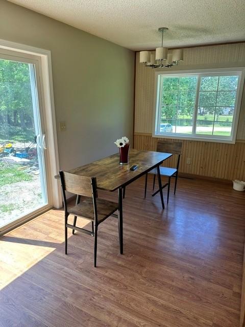 Photo of 15136 Dandelion Lane NE, Bemidji, MN 56601 (MLS # 7093731)