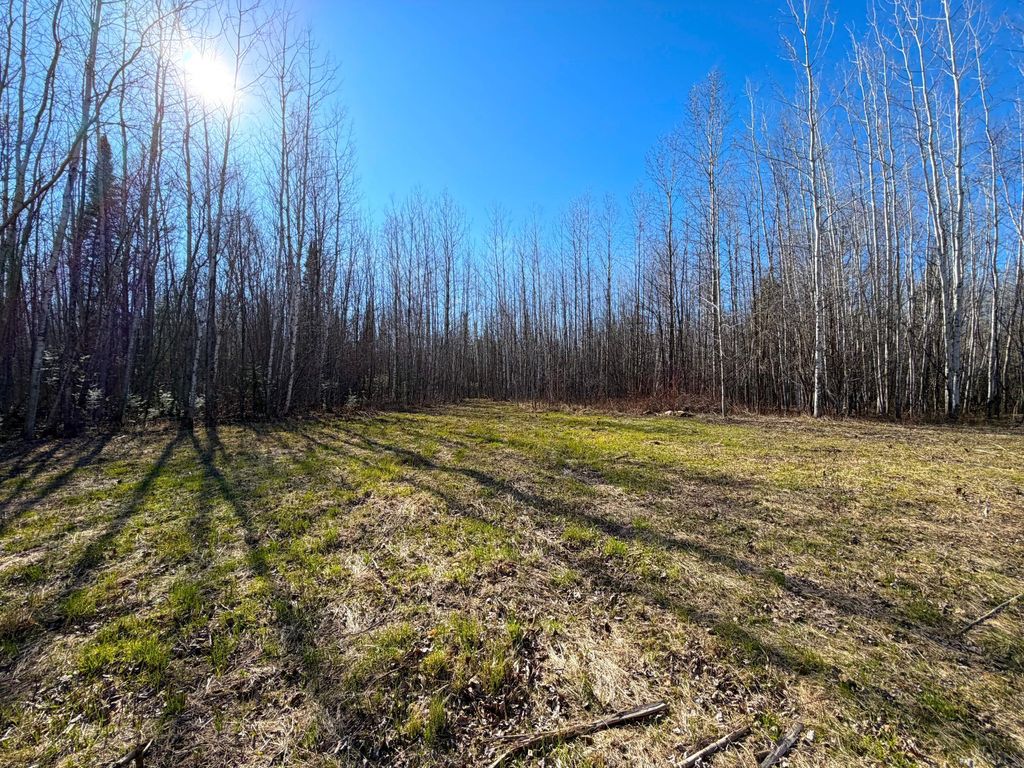 Photo of Lot F County Road 79, Littlefork, MN 56653 (MLS # 7073839)